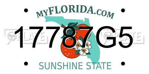 17787G5 Florida License Plate