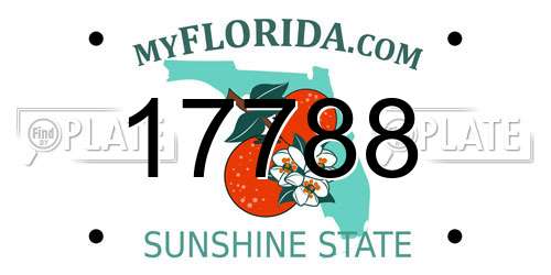 17788 Florida License Plate