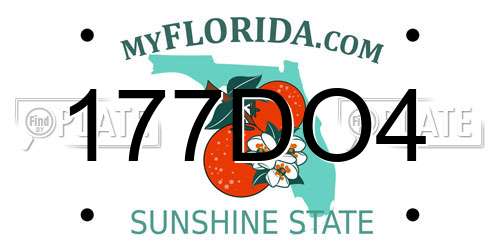 177DO4 Florida License Plate