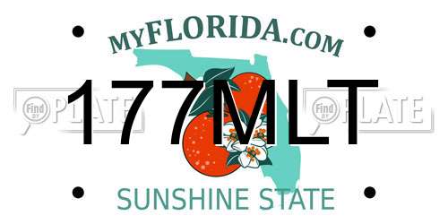 177MLT Florida License Plate