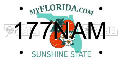 177NAM Florida License Plate