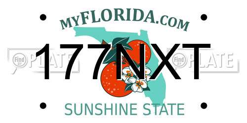 177NXT Florida License Plate