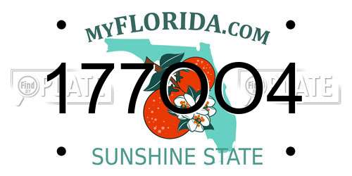 177OO4 Florida License Plate