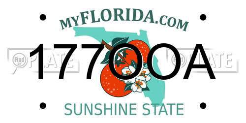 177OOA Florida License Plate
