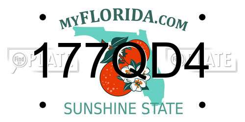 177QD4 Florida License Plate