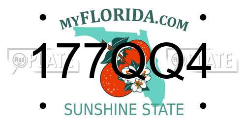 177QQ4 Florida License Plate