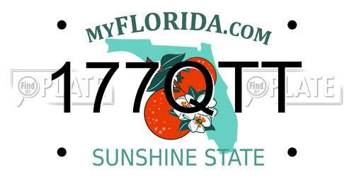 177QTT Florida License Plate