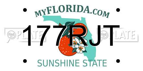 177RJT Florida License Plate