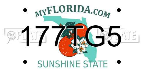 177TG5 Florida License Plate