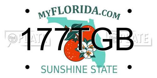 177TGB Florida License Plate
