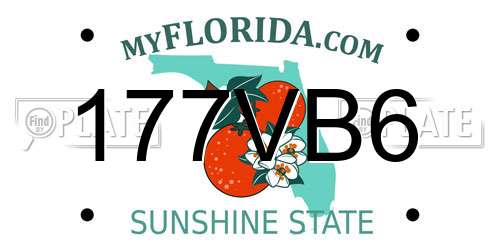 177VB6 Florida License Plate