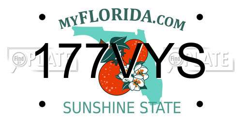 177VYS Florida License Plate