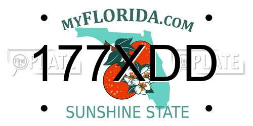177XDD Florida License Plate