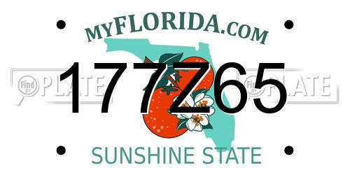 177Z65 Florida License Plate