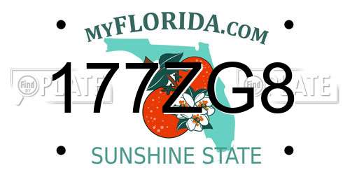 177ZG8 Florida License Plate