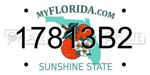 17813B2 Florida License Plate
