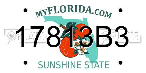17813B3 Florida License Plate