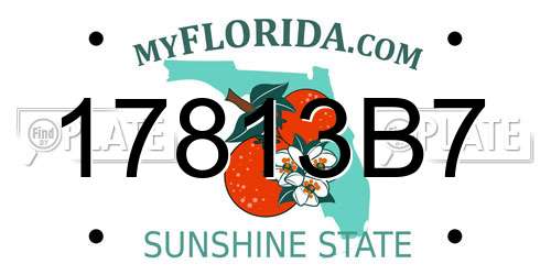 17813B7 Florida License Plate