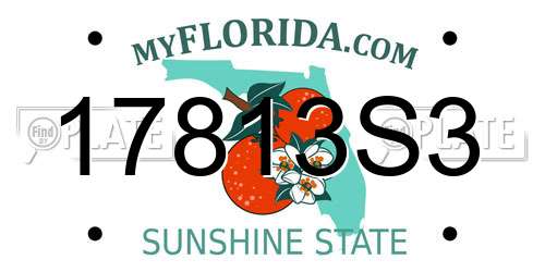 17813S3 Florida License Plate