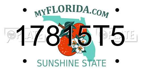 17815T5 Florida License Plate