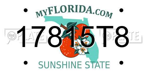 17815T8 Florida License Plate