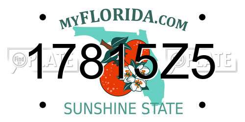 17815Z5 Florida License Plate