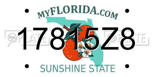 17815Z8 Florida License Plate