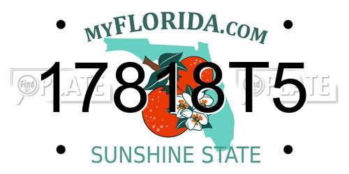 17818T5 Florida License Plate