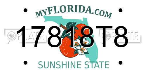 17818T8 Florida License Plate