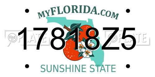 17818Z5 Florida License Plate