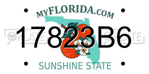 17823B6 Florida License Plate