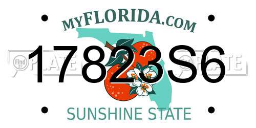 17823S6 Florida License Plate