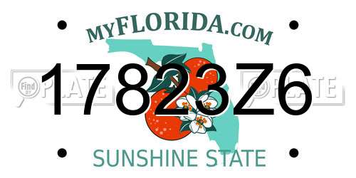 17823Z6 Florida License Plate