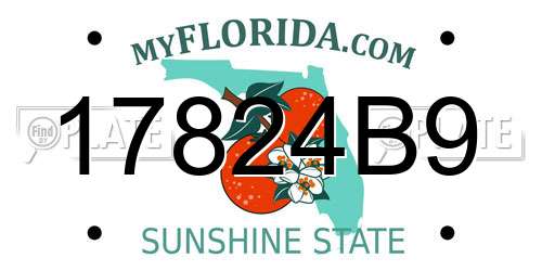 17824B9 Florida License Plate