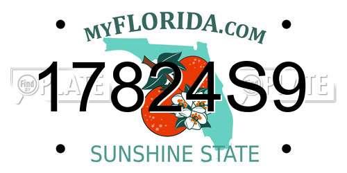 17824S9 Florida License Plate