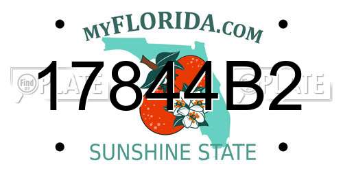 17844B2 Florida License Plate