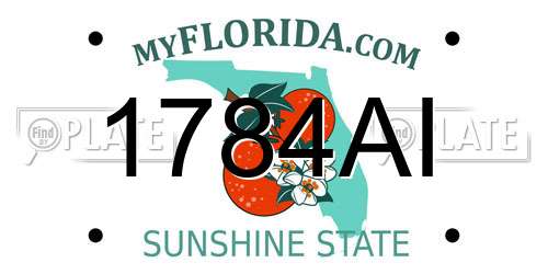 1784AI Florida License Plate
