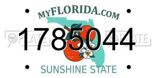 1785044 Florida License Plate