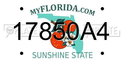17850A4 Florida License Plate