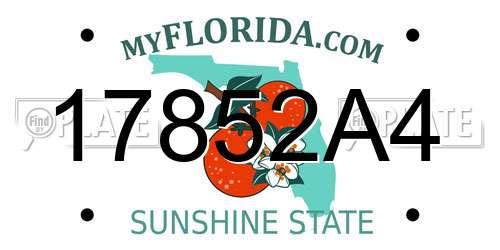 17852A4 Florida License Plate