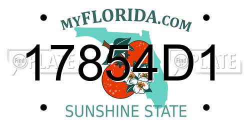 17854D1 Florida License Plate