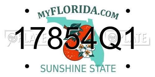 17854Q1 Florida License Plate