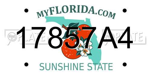 17857A4 Florida License Plate