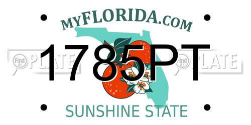1785PT Florida License Plate