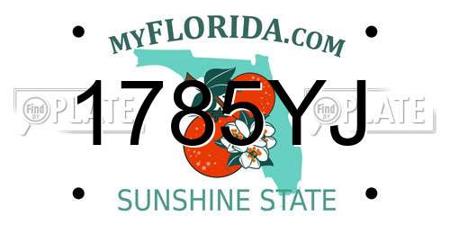 1785YJ Florida License Plate