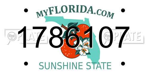 1786107 Florida License Plate