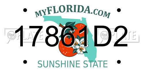 17861D2 Florida License Plate