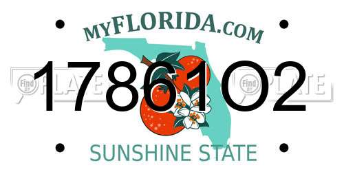17861O2 Florida License Plate