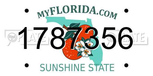 1787356 Florida License Plate