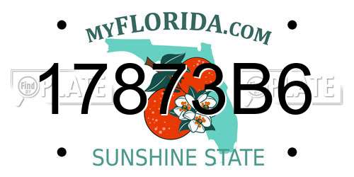 17873B6 Florida License Plate